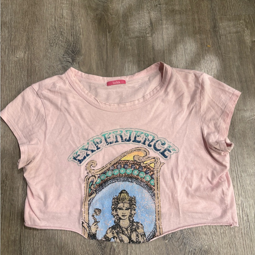 Vintage Pink Graphic Crop Top